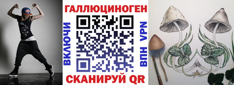Купить где  Олёкминск  Псилоцибиновые грибы мицелий 